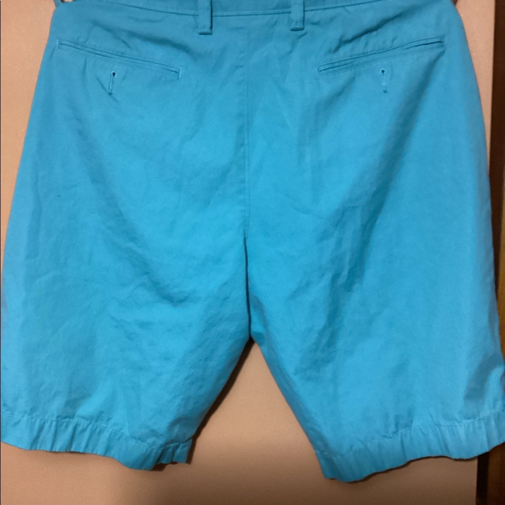 Shorts - Picture 3 of 3